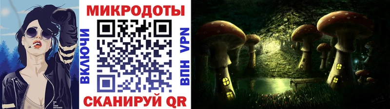 Псилоцибиновые грибы Psilocybe  Купить где  Губаха 