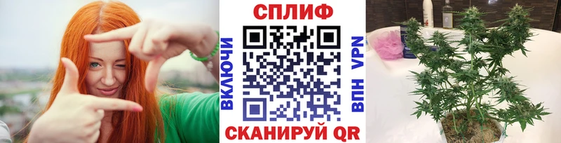 Бошки Шишки планчик  Купить где  Губаха 